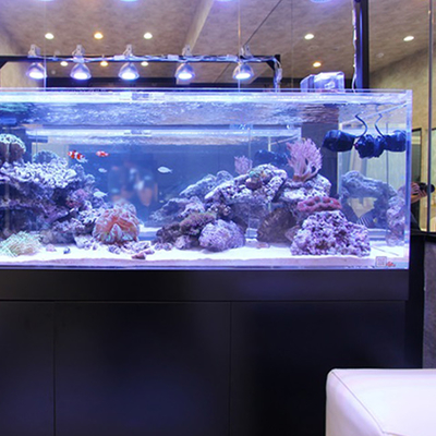 % 92 Akvaryum Akrilik Yaprak 1220*2440mm