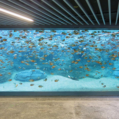 Customizable Acrylic Aquarium Fish Tank with Cutting Service Sustainable Aquarium & Accessories